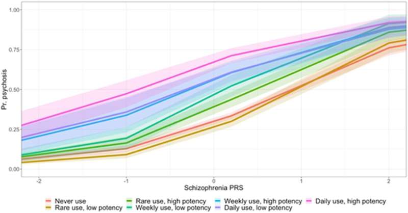 Cannabis use increases risk of psychosis independently from genetic predisposition