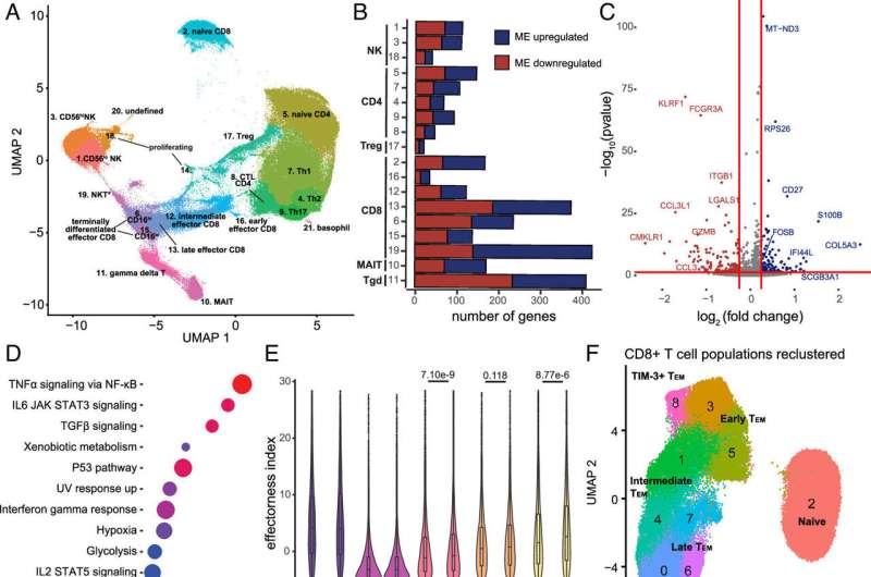 Research reveals possible link between protein G3BP1 and amyotrophic lateral sclerosis