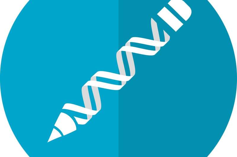 South Africa's new research guidelines are not a green light for heritable human genome editing