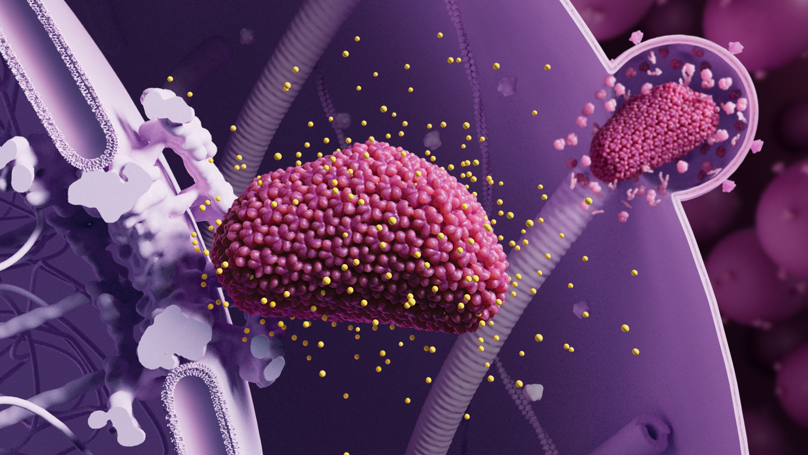 Science-2024 Breakthrough of the Year：The long shot