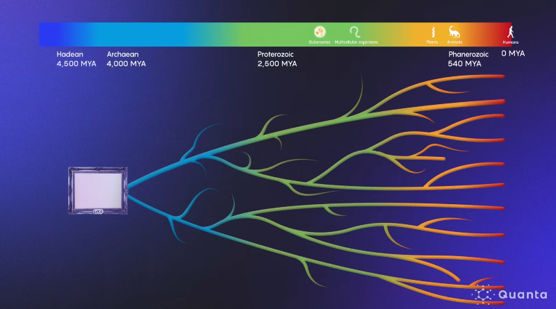 2024's Biggest Breakthroughs in Biology and Neuroscience