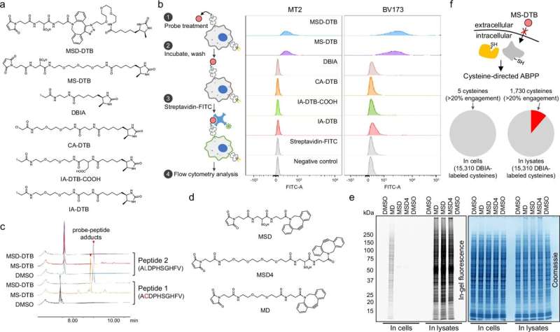 Reactive cysteines on peptide antigens may unlock new cancer immunotherapy possibilities