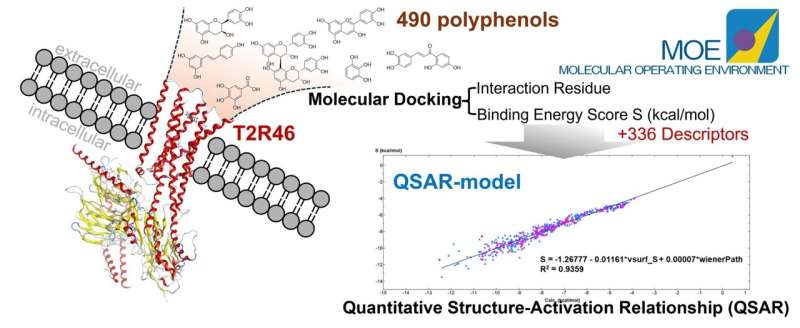 Flavonoids in polyphenols: Activating gut hormones to improve health