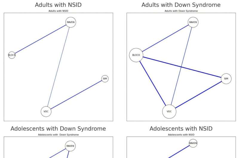 From adolescence to adulthood: Unlocking cognitive potential in individuals with Down syndrome