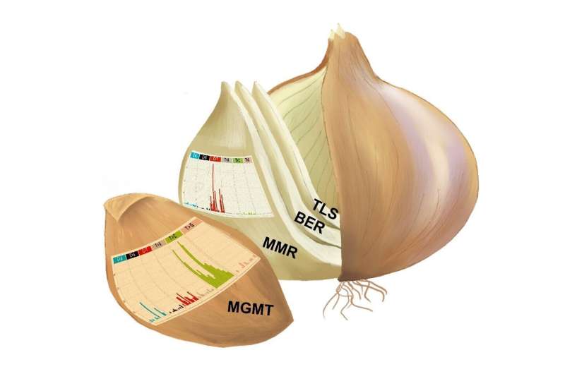 Overcoming glioblastoma resistance to chemotherapy