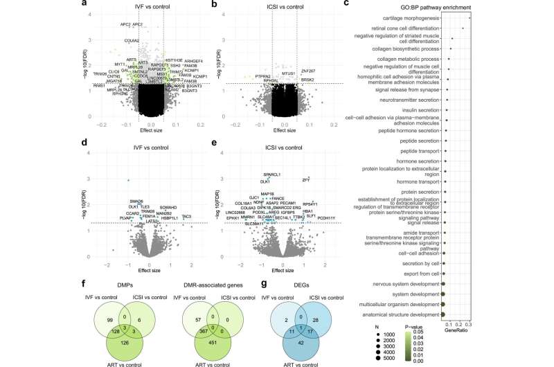 Study of placental genes reveals how assisted reproduction affects placenta and child's growth