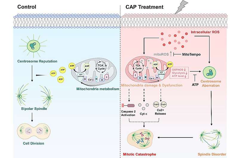 Low-dose plasma treatment: A new hope for cancer therapy?