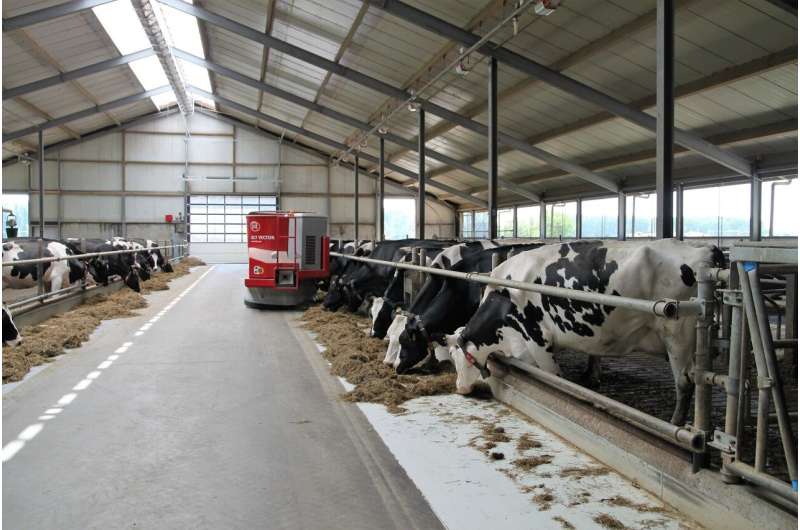 dairy farm