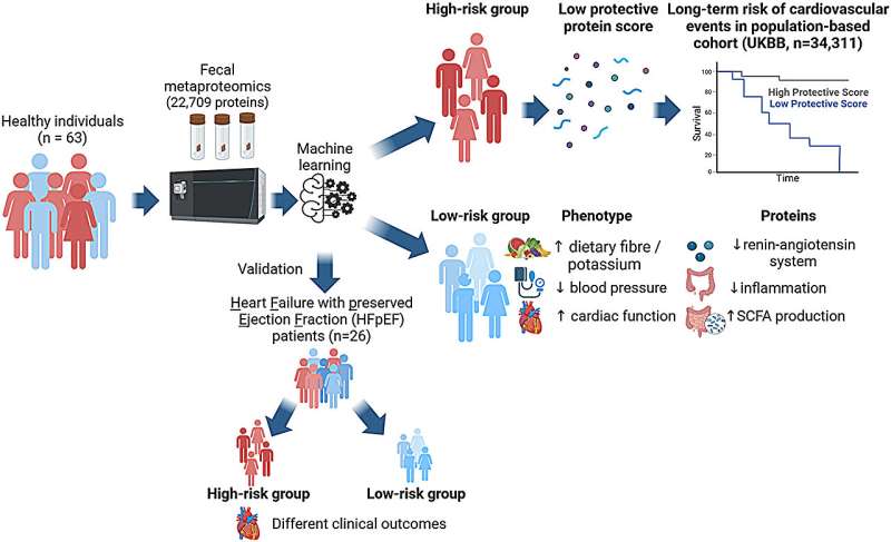 What can fecal proteins reveal about heart health?