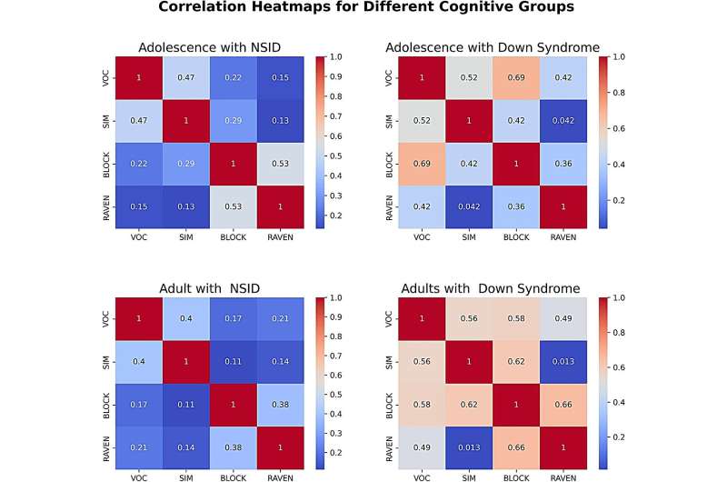 From adolescence to adulthood: Unlocking cognitive potential in individuals with Down syndrome