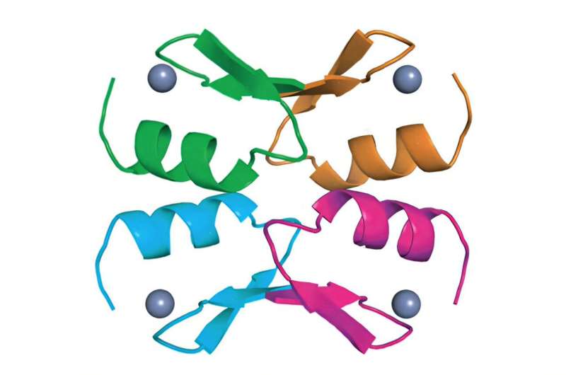 Could a pill replace gene therapy for sickle cell disease? Research uncovers potential path to small-molecule drug