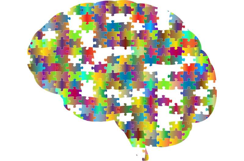 12 questions to ask for better brain health in 2024