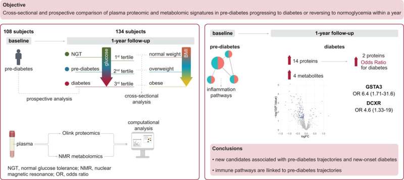 Blood markers may predict prediabetes outcomes