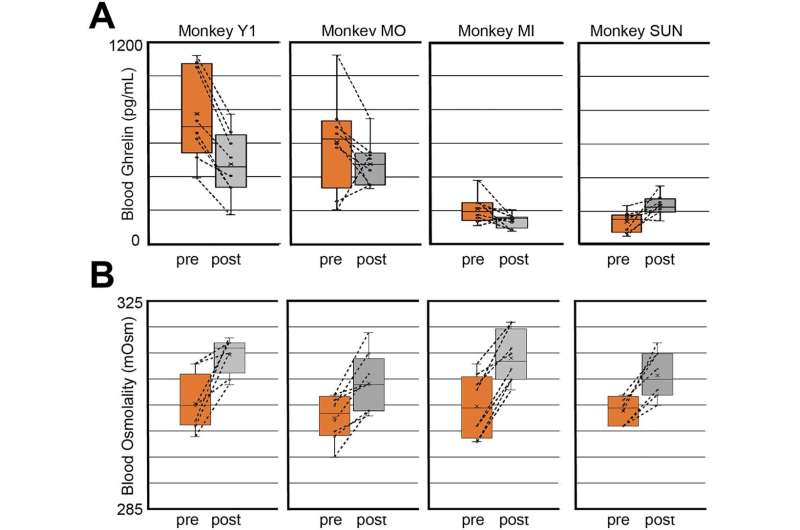 Researchers link dry food consumption to measurable thirst levels