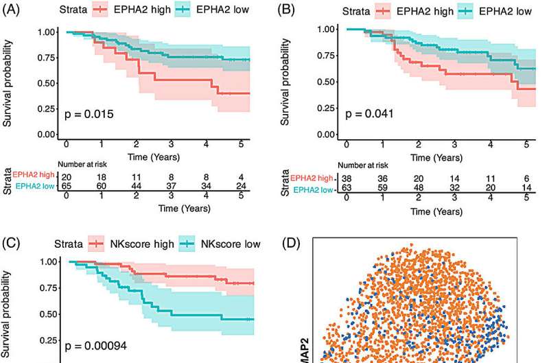 Natural killer cells offer hope for hard-to-treat pediatric sarcomas