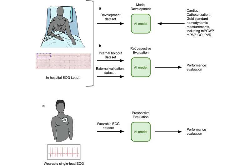 Deep neural network may soon replace invasive procedures as new gold standard for monitoring heart health