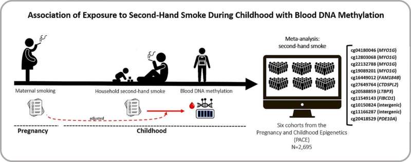 Second-hand smoke exposure during childhood leaves its mark on children's DNA